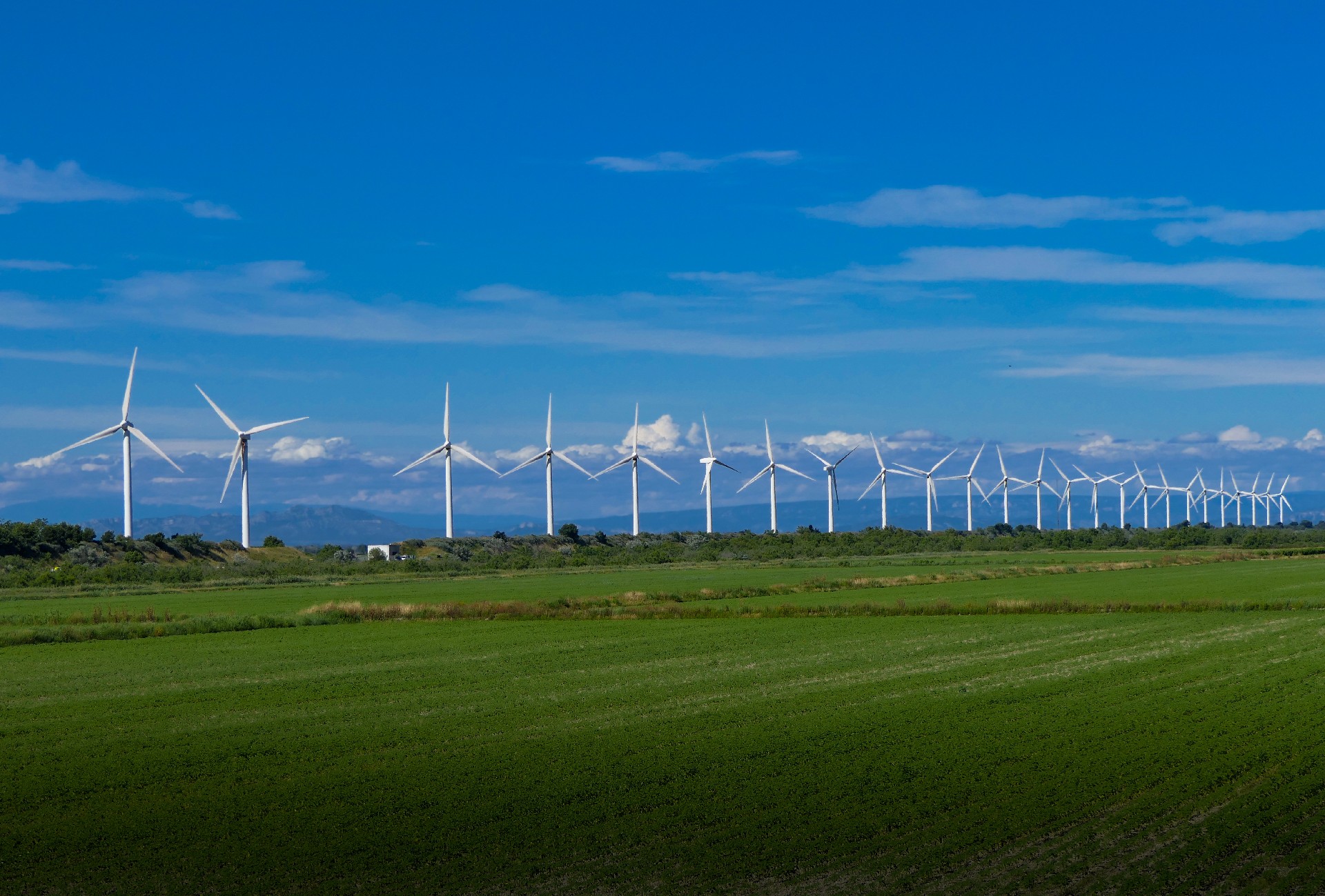 �ⰺ(�й���)�ٷ���վ